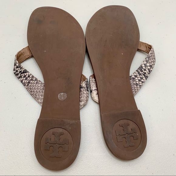 Tory Burch Sandals Adult Size 11M Brown Thora Snake Print Leather Thong Women - Picture 5 of 6